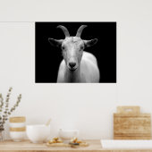 Poster Chèvre (Cuisine)