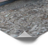 Poster Chèvre Bébée Blanche Quittant La Grange (Coin)