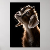 Poster Chèvre curieuse (Devant)