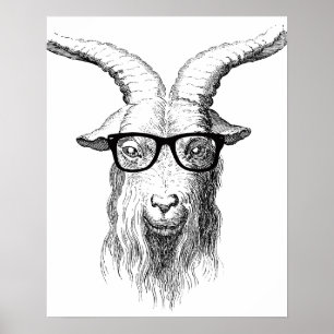 Poster Chèvre de hippie