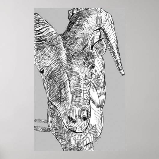 Poster Chèvre de montagne (Devant)