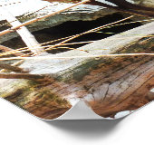 Poster Chèvre de montagne (Coin)