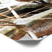 Poster Chèvre de montagne (Coin)