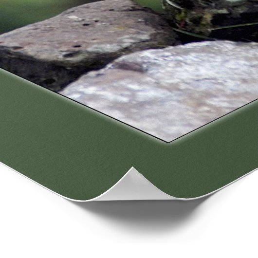 Poster Chèvre de montagne Cascade (Coin)