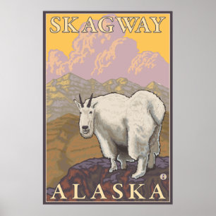 Poster Chèvre de montagne - Skagway, Alaska