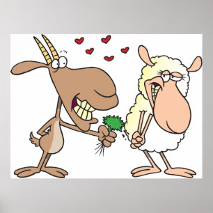 Poster Chèvre et mouton amoureux