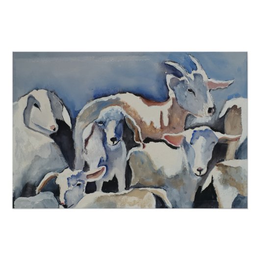 Poster Chèvres (Devant)