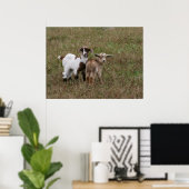 Poster Chèvres (Bureau à domicile)