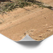 Poster Chèvres amusantes dans un arbre (Coin)