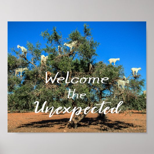 Poster Chèvres dans les arbres Bienvenue à l'inattendu (Devant)