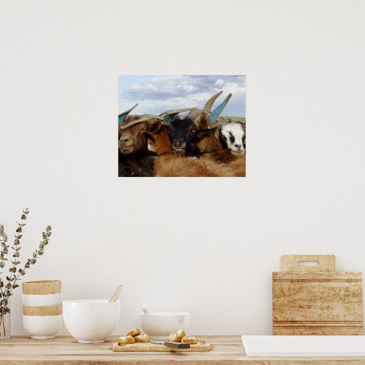 Poster Chèvres mongoles (Cuisine)