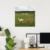 Poster Chèvres sur une ferme (Bureau à domicile)