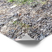 POSTER CHEVROLET CAMION PLAT 1946 (Coin)