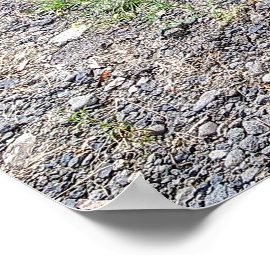 POSTER CHEVROLET CAMION PLAT 1946 (Coin)