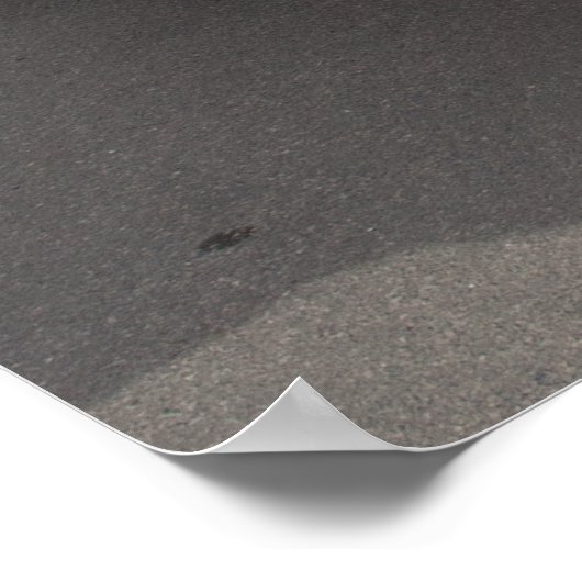 Poster Chevrolet Corvette (Coin)