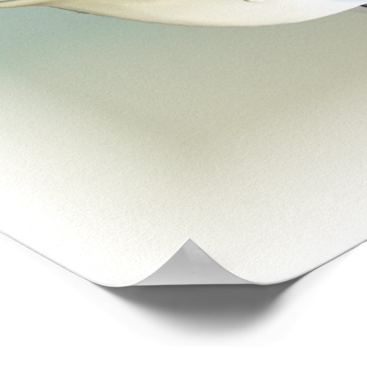 Poster Chevy 1957 (Coin)