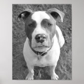 Poster Chevy B/W (Devant)