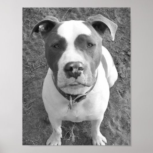 Poster Chevy B/W (Devant)