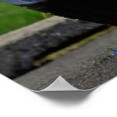 Poster Chevy Camaro RS 1972 (Coin)