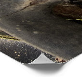 POSTER CHEVY CAMION DASH 1946 (Coin)