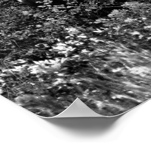 Poster Chevy Dans Le Rough (Coin)