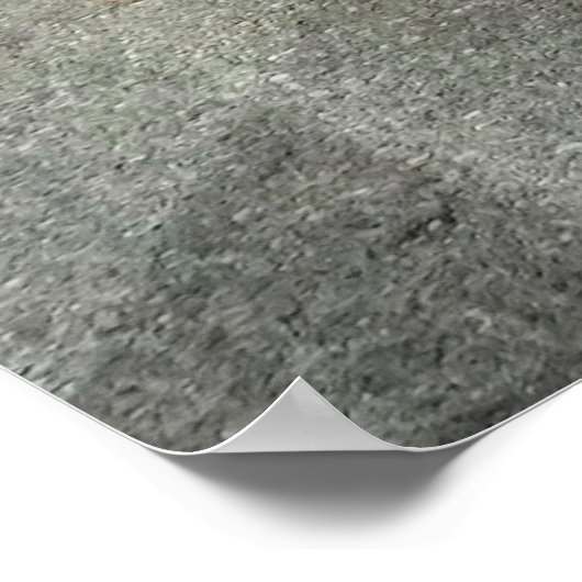 Poster Chevy Impala Lowrider 1960 (Coin)