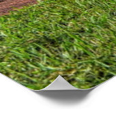 Poster Chevy Nova (Coin)