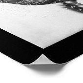 Poster Cheyenne Indian Little Robe 1870 (Coin)