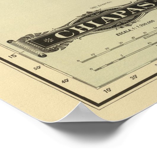 Poster Chiapas (Coin)