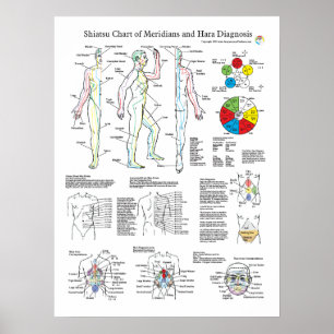 Poster Chiatsu Acupuncture Méridiens et Hara Diagnostics