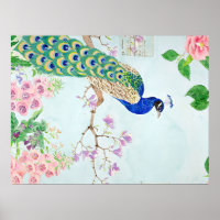 Chibi Peacock | Peacock Lover | Peacock Lover Art