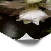 Poster Chic Moody Botanicals (Coin)