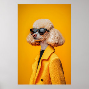 Poster Chic Poodé en lunettes de soleil et manteau jaune