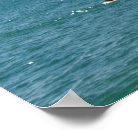 Poster Chicago (Coin)