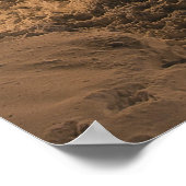 Poster Chicago Blizzard 2011 (Coin)