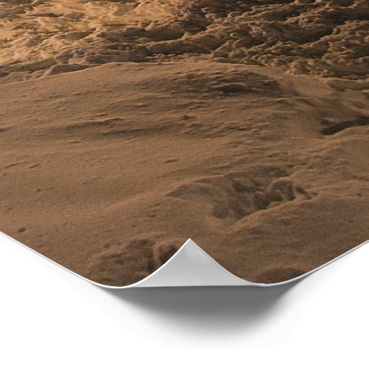 Poster Chicago Blizzard 2011 (Coin)