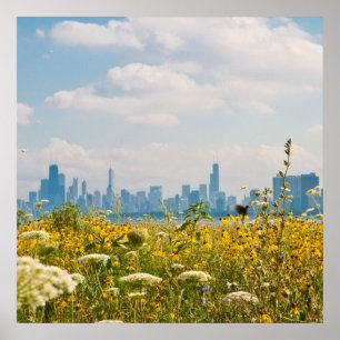 Poster Chicago comme vu de l'oiseau du port de Montrose