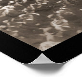 Poster Chicago Cubs Baseball Photo 1904 (Coin)