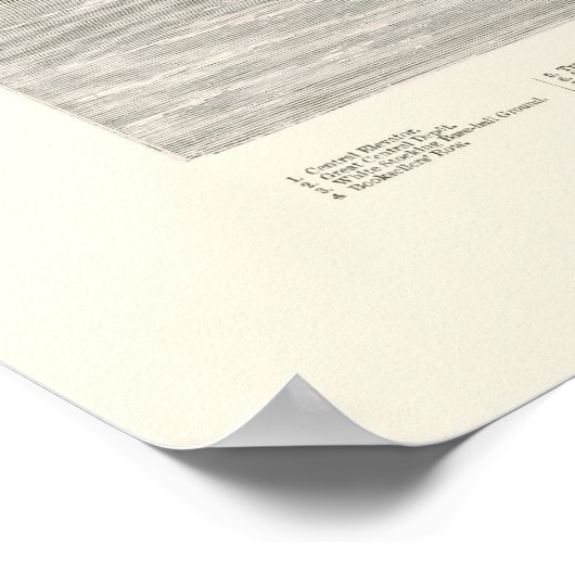 Poster Chicago, IL Panoramic Map - 1871 (Coin)