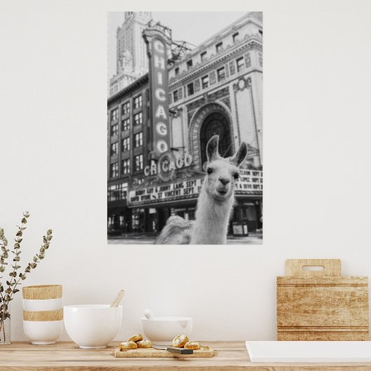 Poster Chicago Llama (Cuisine)