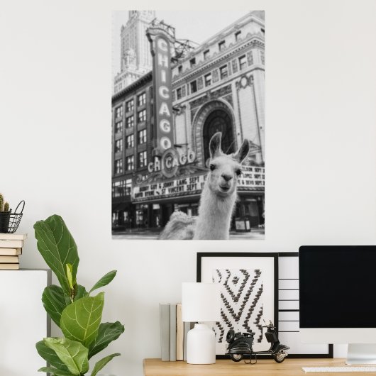 Poster Chicago Llama (Bureau à domicile)