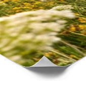 Poster Chicago vu de l'oiseau de Montrose Harbour (Coin)