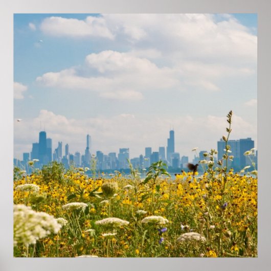 Poster Chicago vu de l'oiseau de Montrose Harbour (Devant)