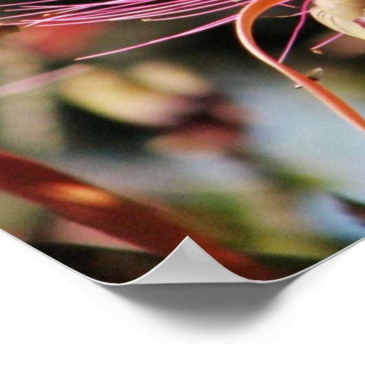 Poster Chichen Itza, Yucatan, Mexique (Coin)