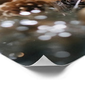 Poster Chichillas de Noël (Coin)