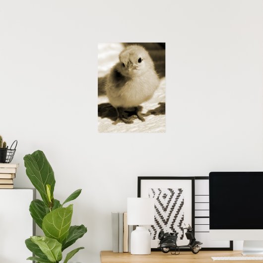 Poster Chick de démarrage (Bureau à domicile)