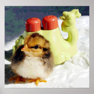 Poster Chick et Camel