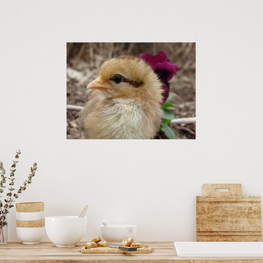 Poster Chick et Pansy (Cuisine)