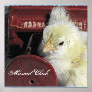 Poster Chick musical