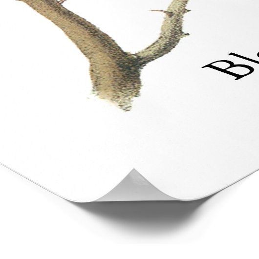 Poster Chickadee à capuchon noir, John Audubon (Coin)